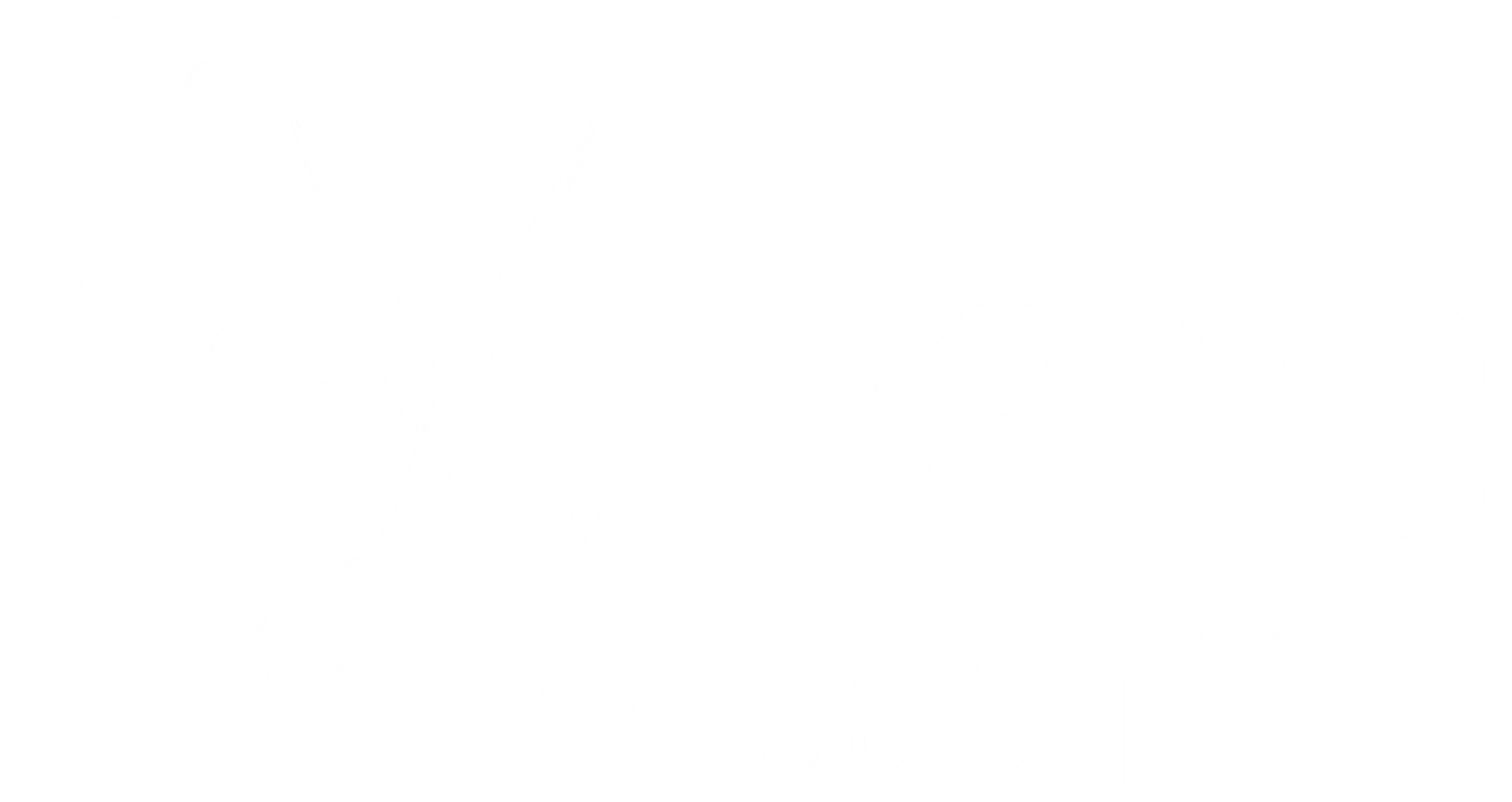 The Next Paige Salon Logo